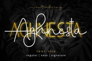 Aghnesta Trio Font for Creative Projects