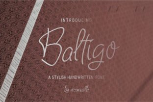 Baltigo: A Modern Script Font for Creative Marketing