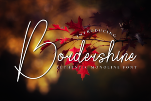 Bordershine: A Font for Elegant Campaigns