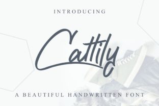 Cattily: A Font for Business Style