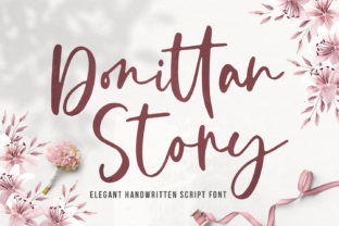 Donittan Story Font Review