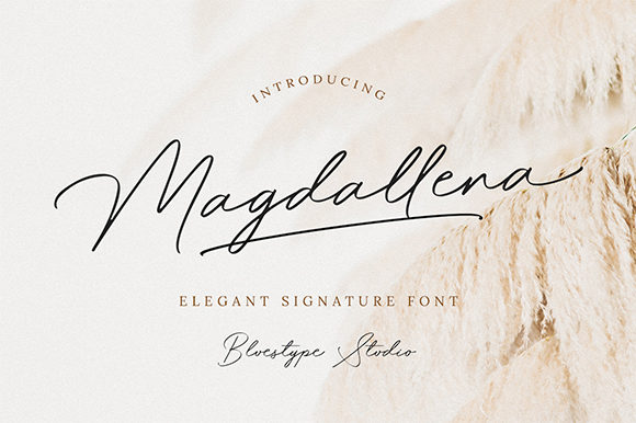 Magdallena: Elegant Script for Business